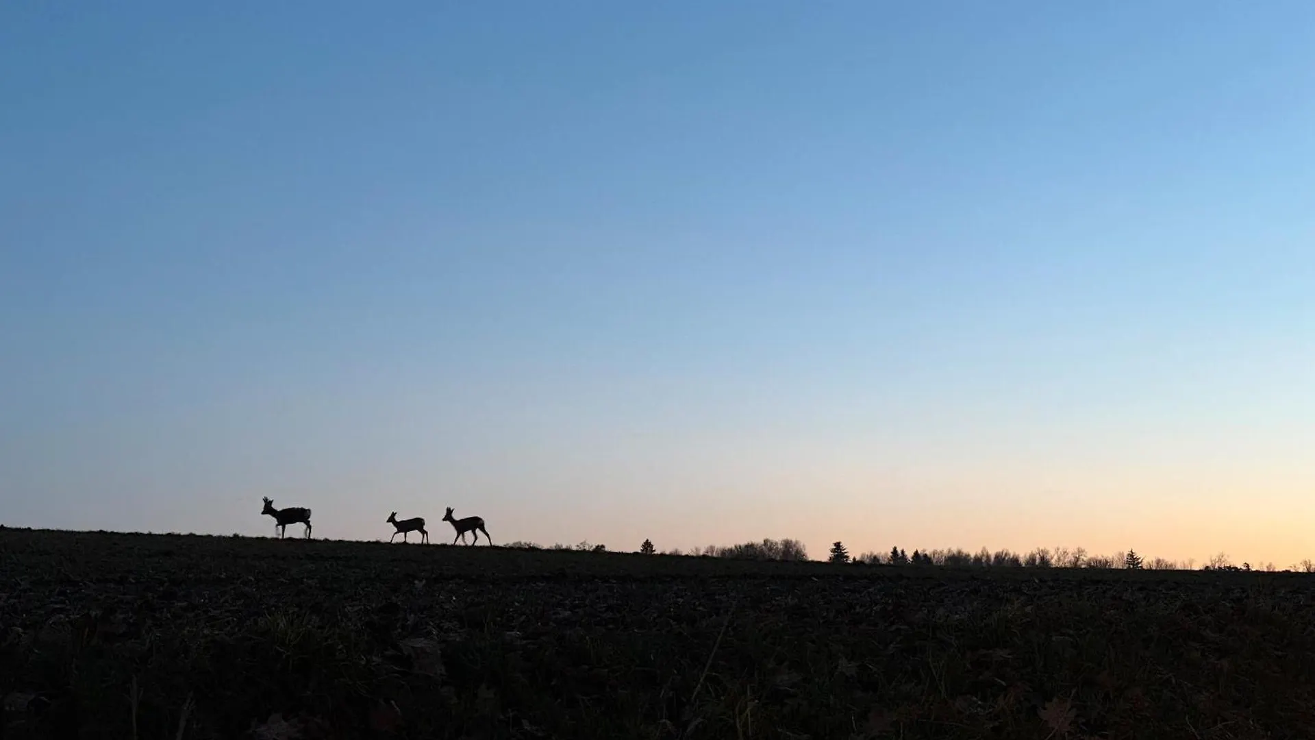 Natur Pur Kraiburg am Inn 0*,  Duitsland