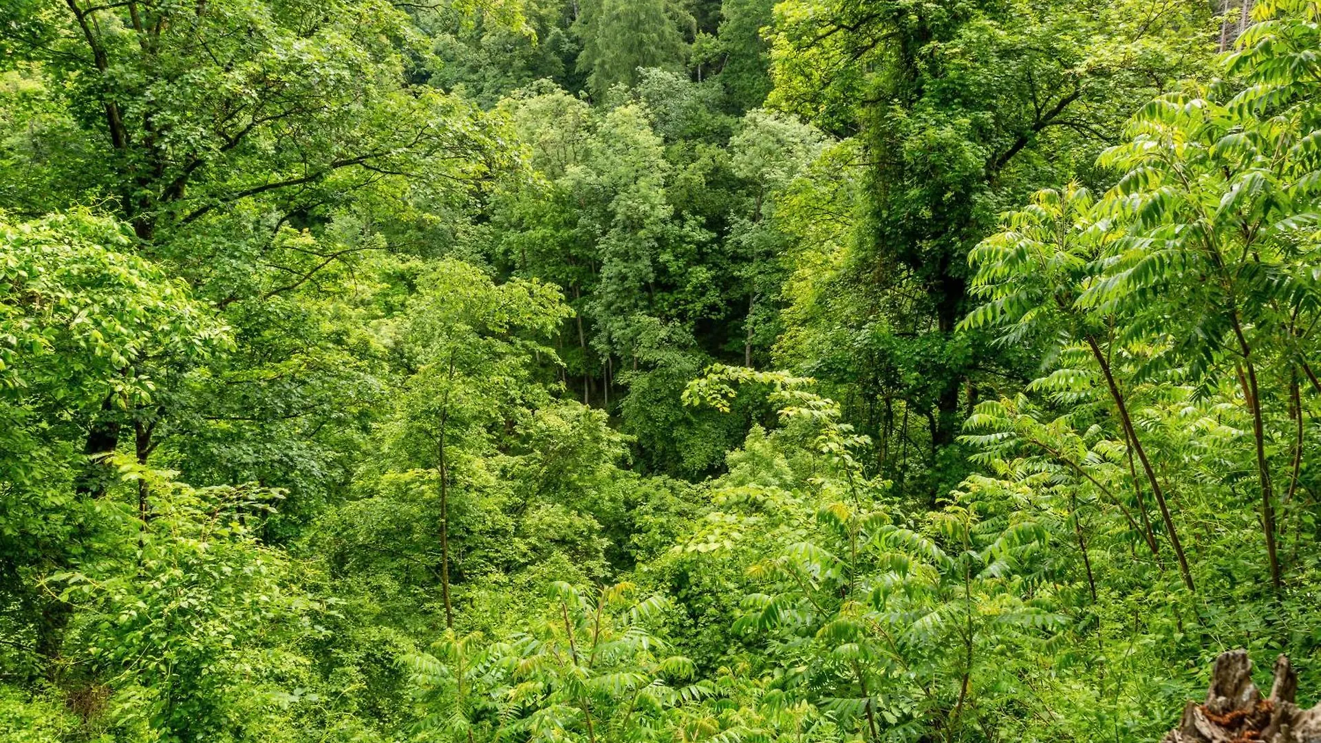 Vakantiehuis Natur Pur Kraiburg am Inn Duitsland